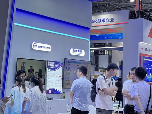 共绘 数智共生 新蓝图 贵阳综保区多家大数据企业亮相2024数博会