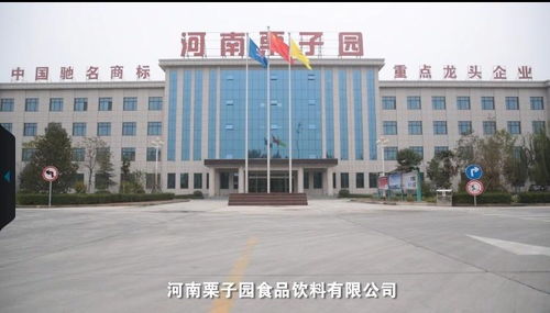 河南栗子园与欧凯集团 强强联合的食品饮料新篇章